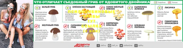 a pvp Няндома