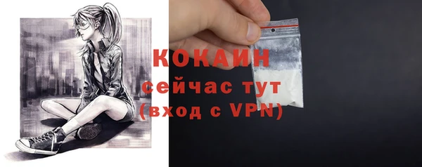 a pvp Няндома