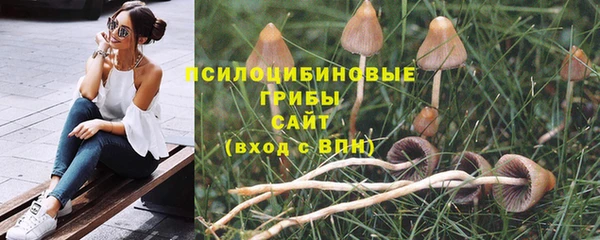 метадон Нязепетровск