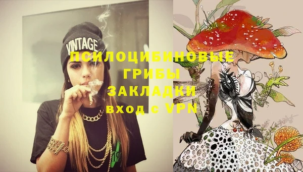 a pvp Няндома