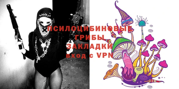 a pvp Няндома