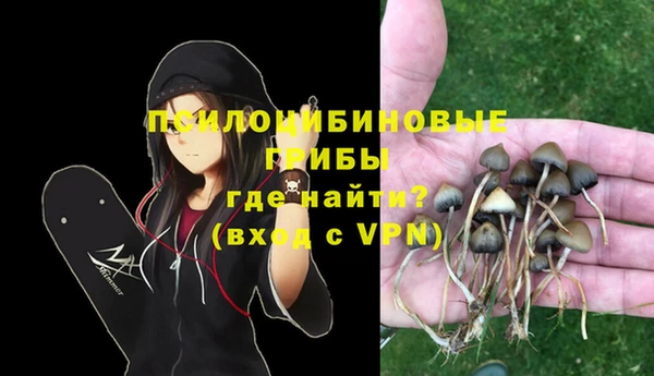 каннабис Осташков