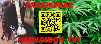 амф Гатчина