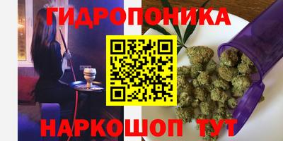 каннабис Гай