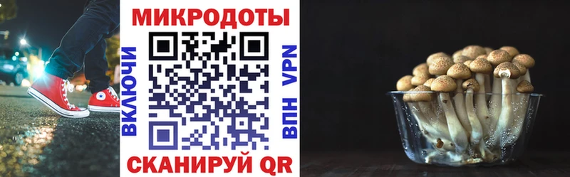 Псилоцибиновые грибы GOLDEN TEACHER  Зеленокумск 