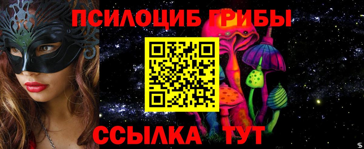 Галлюциногенные грибы Psilocybine cubensis Зеленокумск