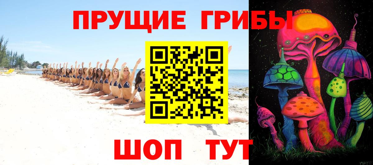 Зеленокумск  Псилоцибиновые грибы мицелий  Вход с VPN 